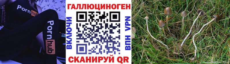 blacksprut как зайти  купить наркотики цена  Давлеканово  Псилоцибиновые грибы Psilocybine cubensis 